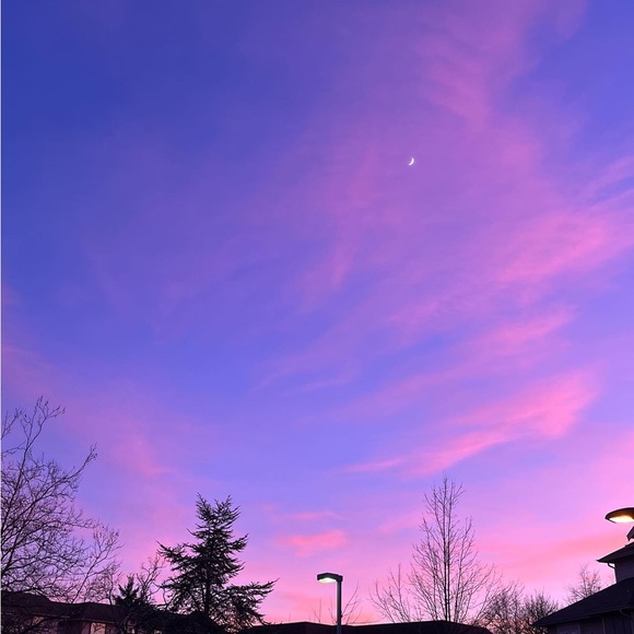 Meet your Posher, Nika - Picture 1 of 1